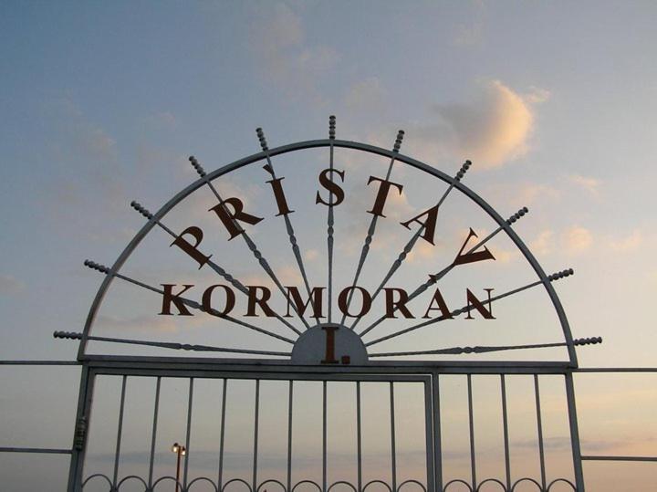 Kormoran Samorin