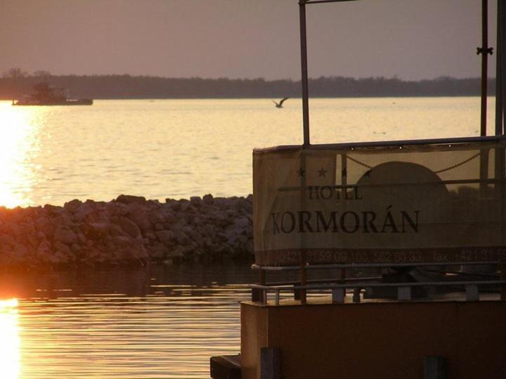Kormoran