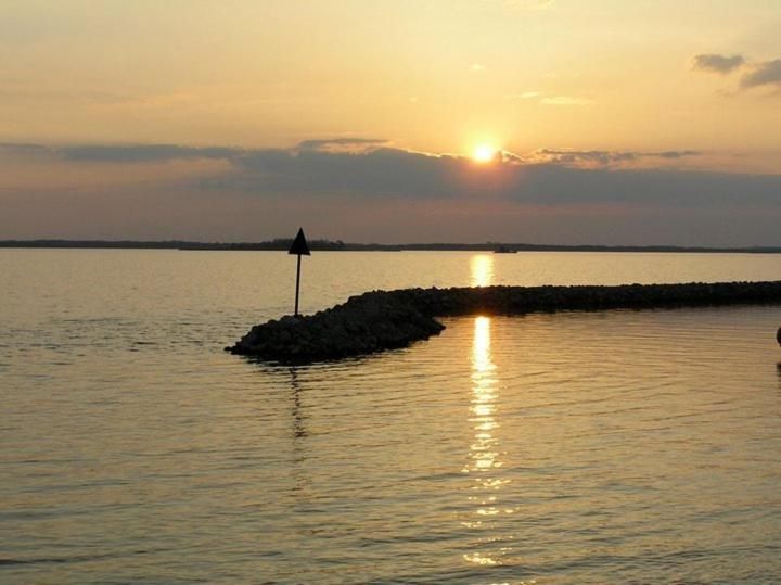 Kormoran Samorin